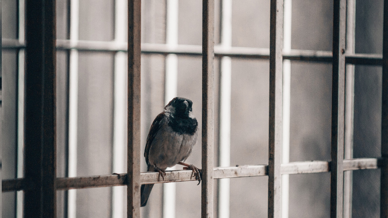 Foto: M Shiva na Unsplash-u