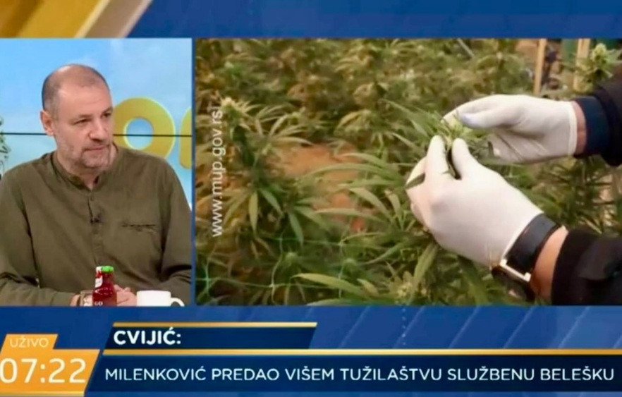 Vuk Cvijić govori o Jovanjici (foto: snimak ekrana Nova TV)